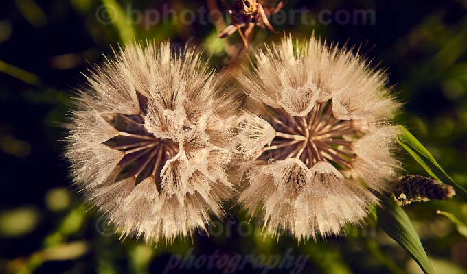 4 Seasons – SPRING – city nature –&nbsp;may