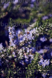 Winter time in te city - February 2017