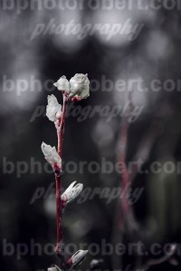 Winter time in te city - March 2017